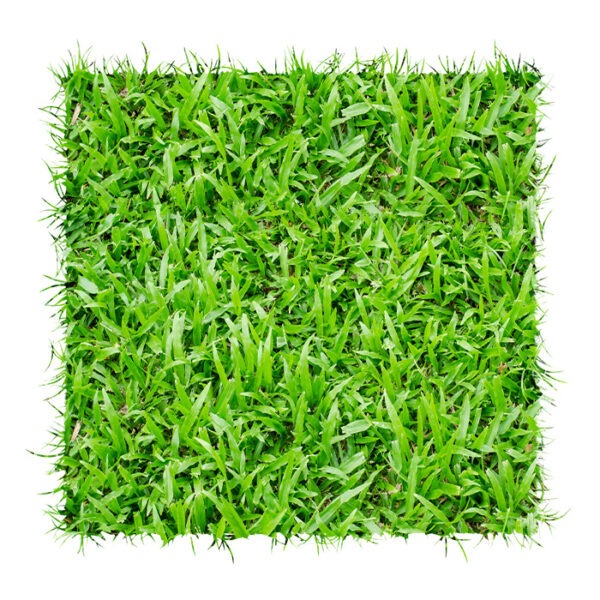 LM Grass - Instant Lawn + Installation (100 SQM)